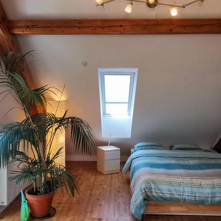 Exklusive Penthouse Wohnung, Nahe Zur Schweiz Klettgau Exteriör bild