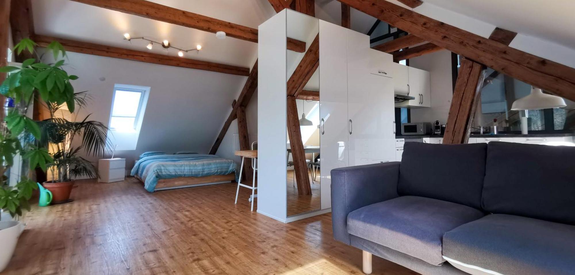 Exklusive Penthouse Wohnung, Nahe Zur Schweiz Klettgau Exteriör bild
