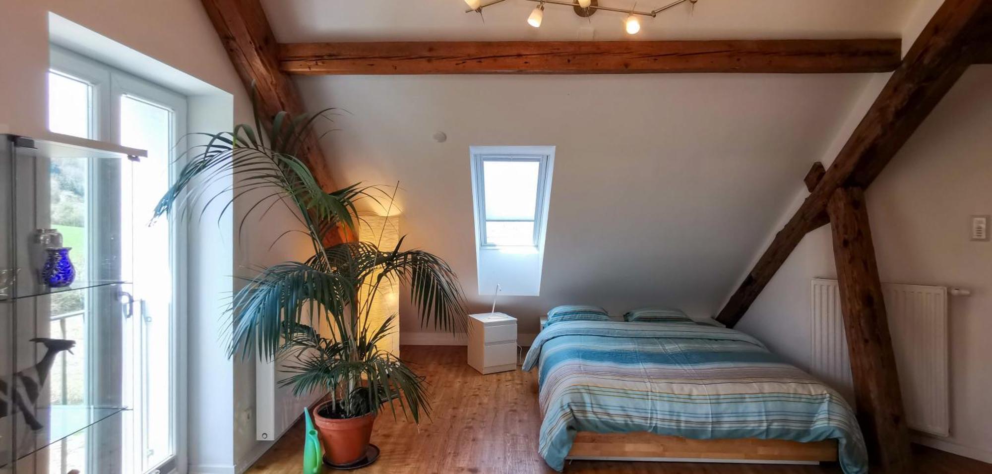 Exklusive Penthouse Wohnung, Nahe Zur Schweiz Klettgau Exteriör bild