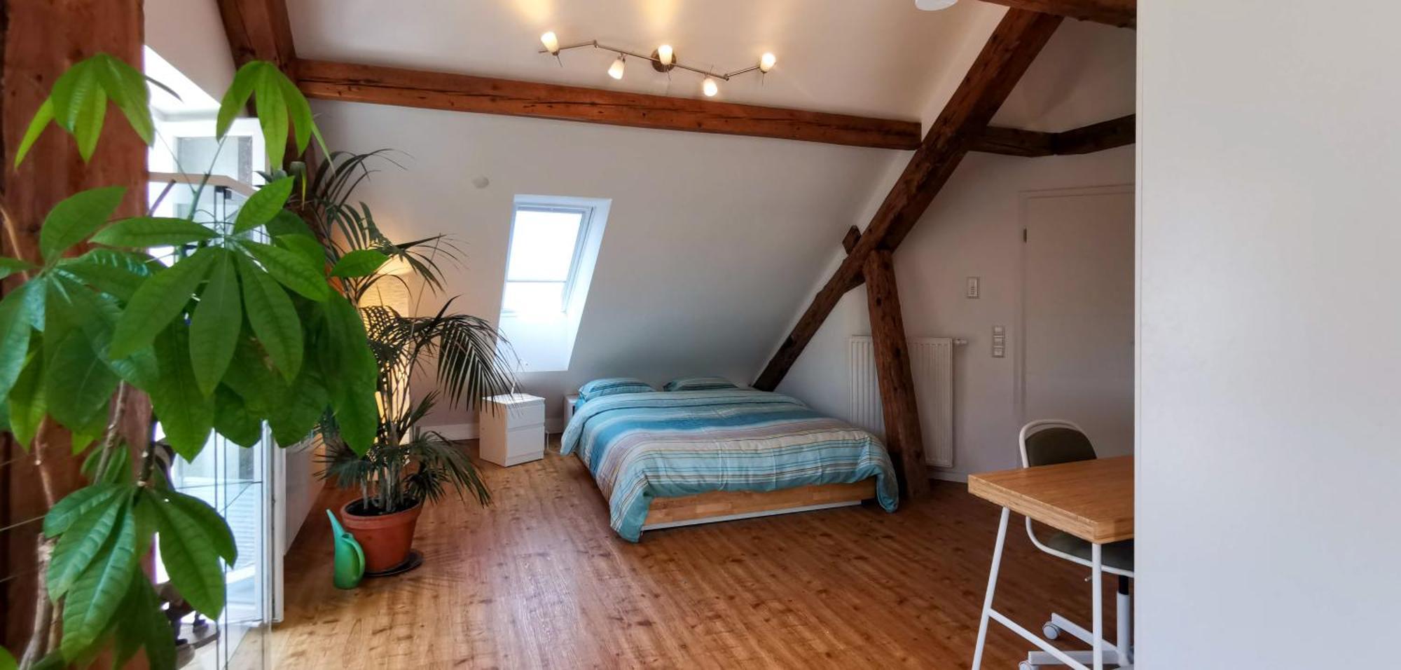 Exklusive Penthouse Wohnung, Nahe Zur Schweiz Klettgau Exteriör bild