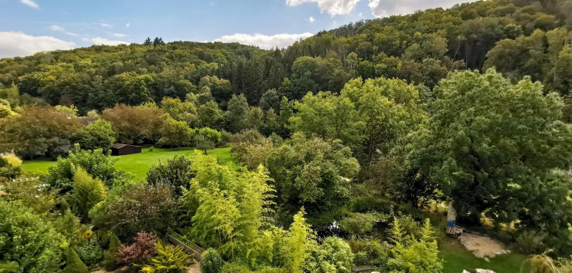 Exklusive Penthouse Wohnung, Nahe Zur Schweiz Klettgau Exteriör bild